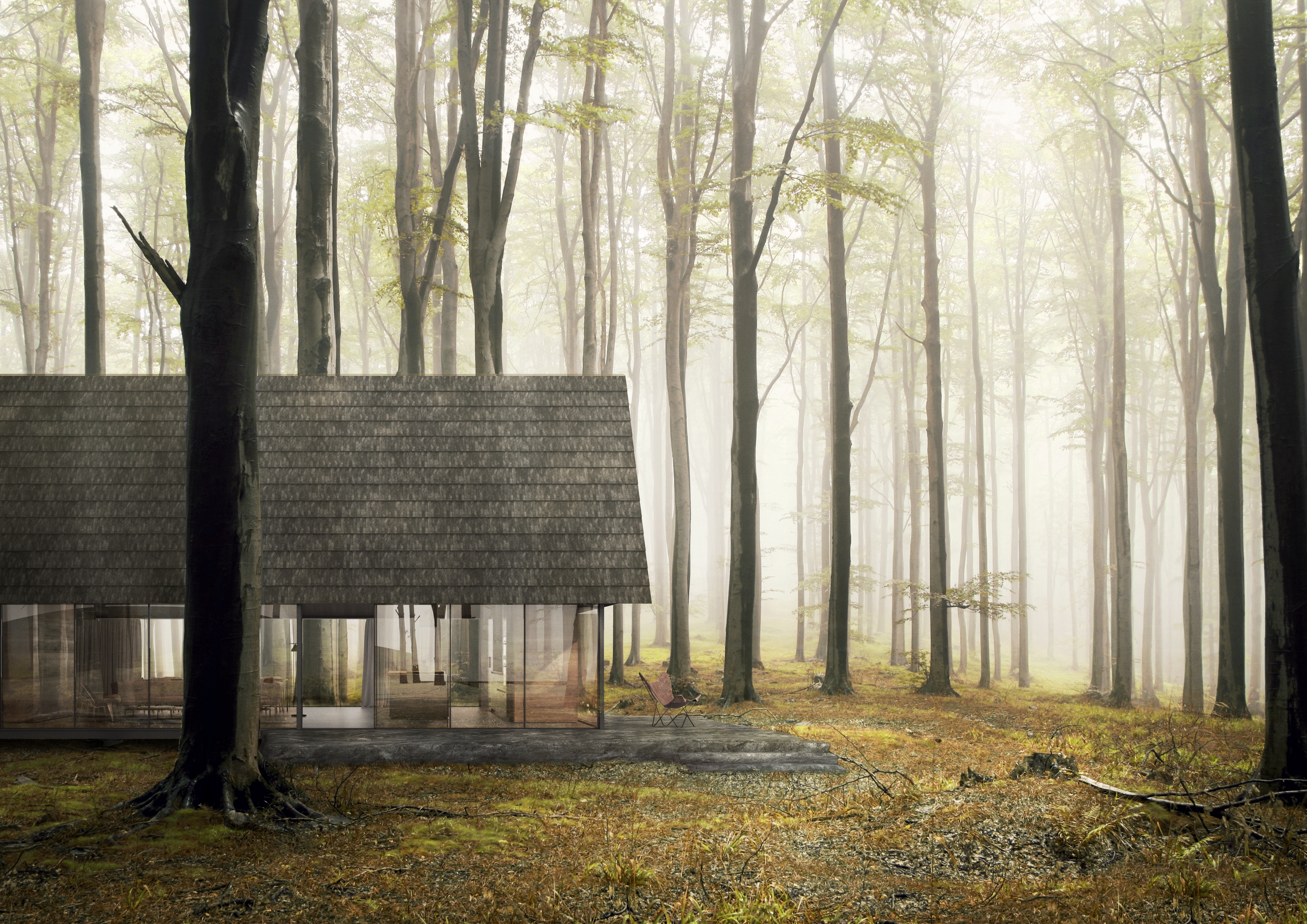 Natura Greyline_Forest